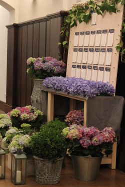 Imagen: Seatting boda oviedo