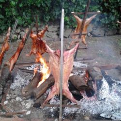 Imagen: Cabritos a la estaca