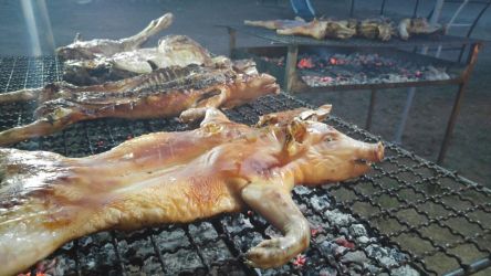 Imagen: Cochinillos a la brasa