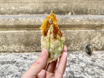 Imagen: Flor de carbassó farcida