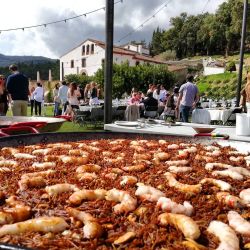 Imagen Popaella