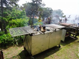Imagen: Parrillas horno