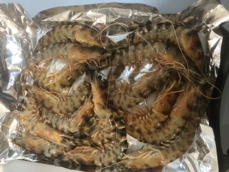 Imagen: Langostino san lucar