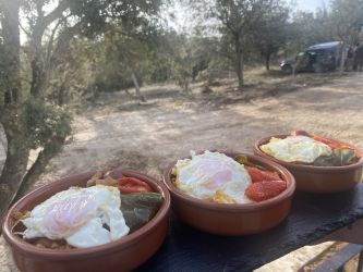 Imagen: Migas con huevo frito