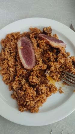Imagen: De magret de pato castañas y cebolla car
