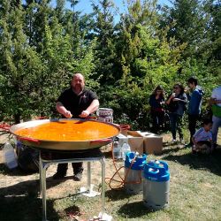 Imagen: Paellas populares