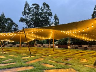 Imagen: Carpas para Eventos