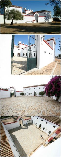 Imagen 4 - Cortijo Las Arenillas