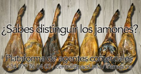 Imagen: Ayudamos a seleccionar el mejor jamón