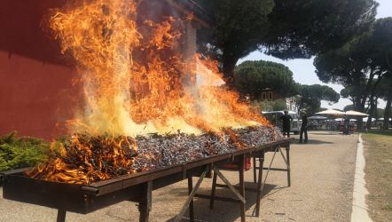 Imagen: Pinchos de lechazo