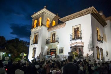 Imagen: Fachada palacio condes de gamazo