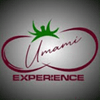 Logotipo Umami Experience