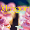 Logotipo Xtragon Catering