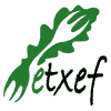 Logotipo Etxef